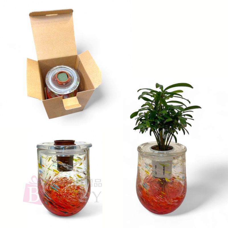 流光植語 | 玻璃藝術植栽