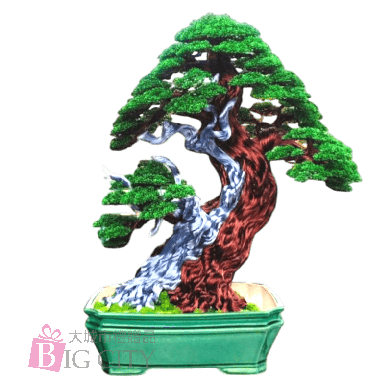 流光歲月｜招財樹