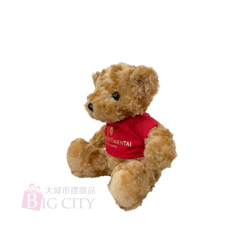 客製造型衣服小熊玩偶26cm